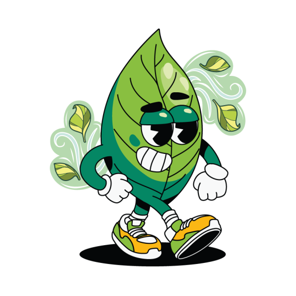 Aroma Eucalipto